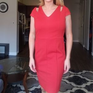 The Limited Size 8 Orange Dress
